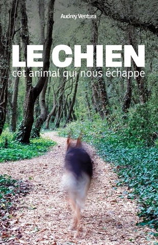 Les lectures indispensables Les lectures indispensables