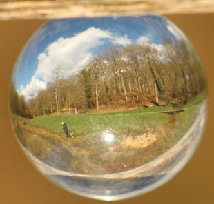 L'univers d'Alice au Pays Canin