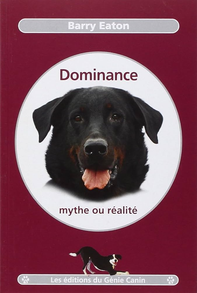 Les lectures indispensables