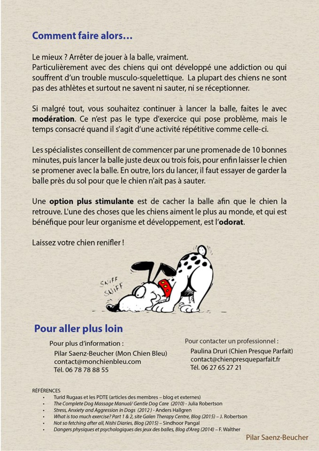 Jeu de lancé de balle : bonne ou mauvaise idée ?