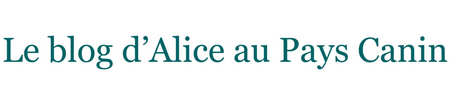 Le blog d'Alice au Pays C