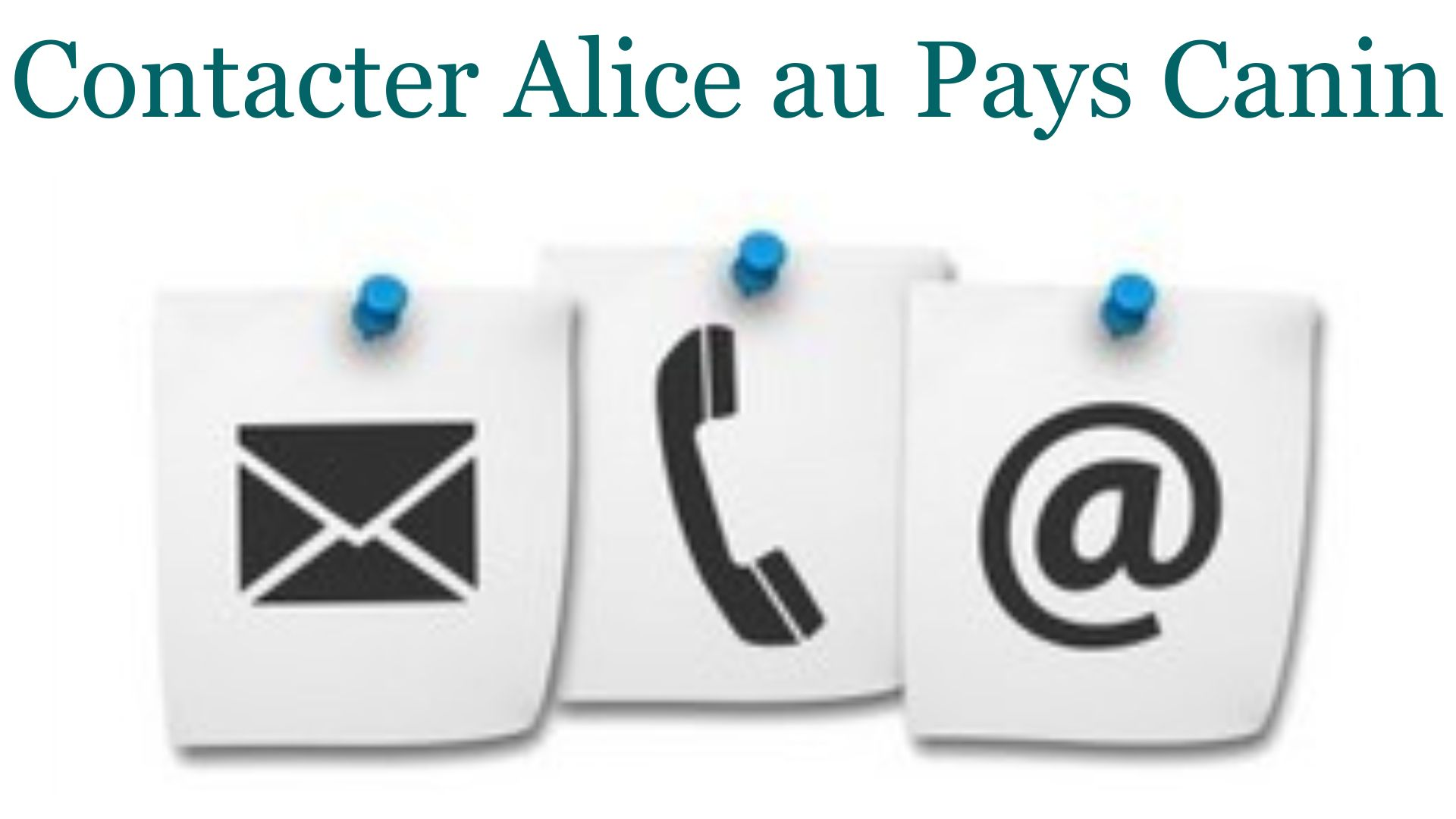 https://www.aliceaupayscanin.fr/Contact/