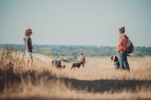 Combler les besoisn de son chien avec les balades sociales à Falaise- crédit photo : Cindy Obitz