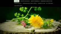 Les lectures indispensables 
