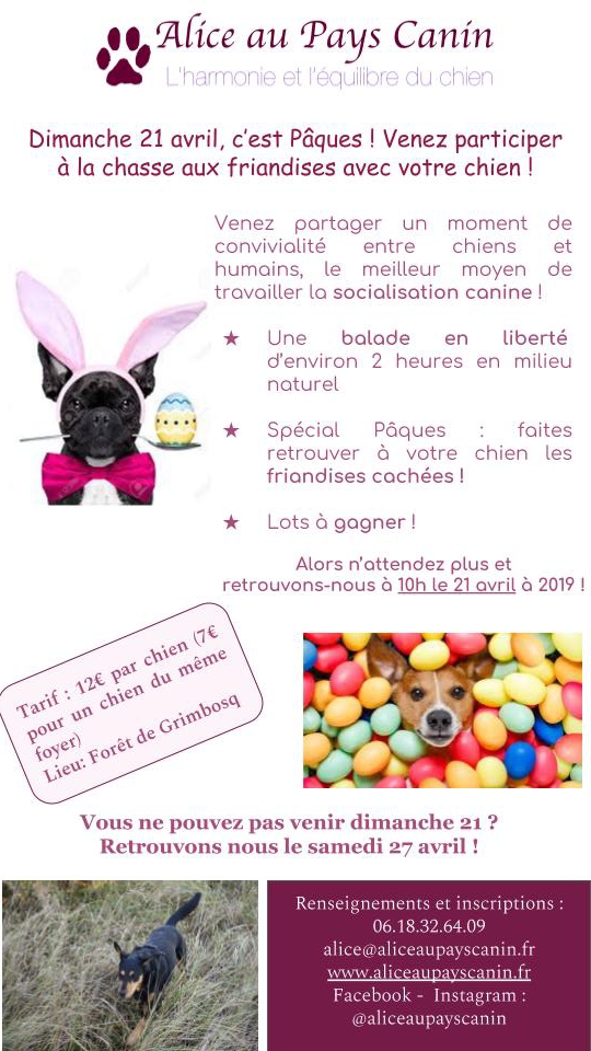 Balade sociale spéciale Pâques ! Balade sociale spéciale Pâques !