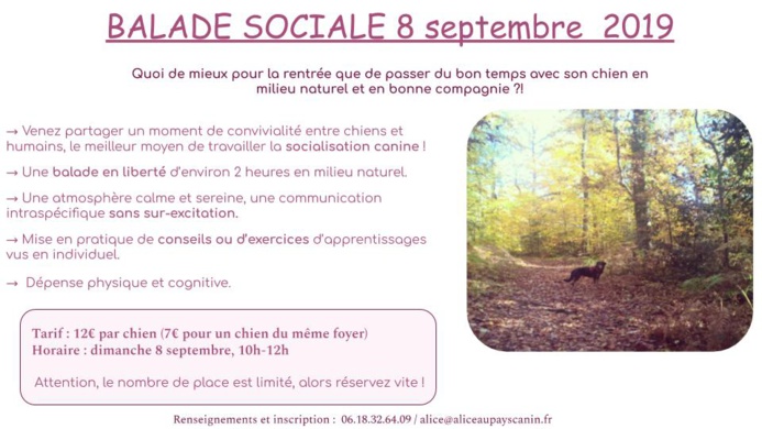 Les activités à venir !