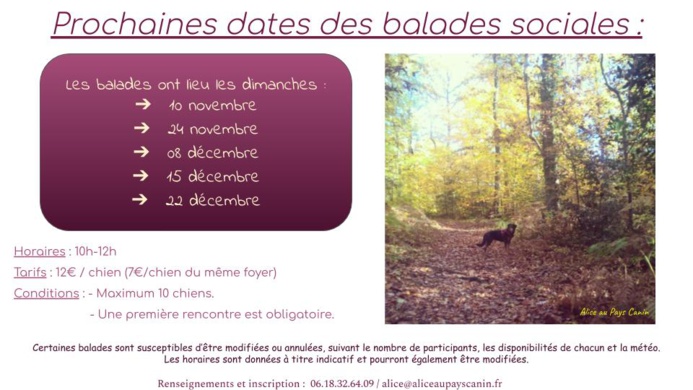 Programme des activités à venir !