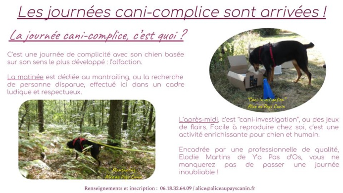 Programme des activités à venir !
