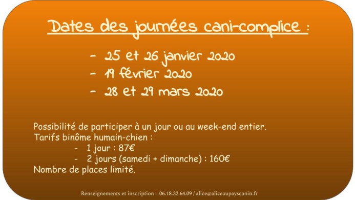 Programme des activités à venir !