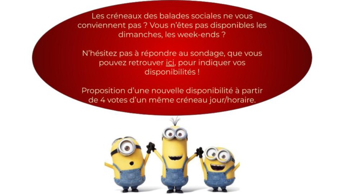 Programme des activités à venir !
