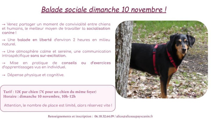 L'actu de la semaine