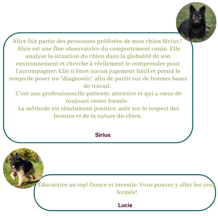 Ils témoignent sur leur expérience avec Alice au Pays Canin