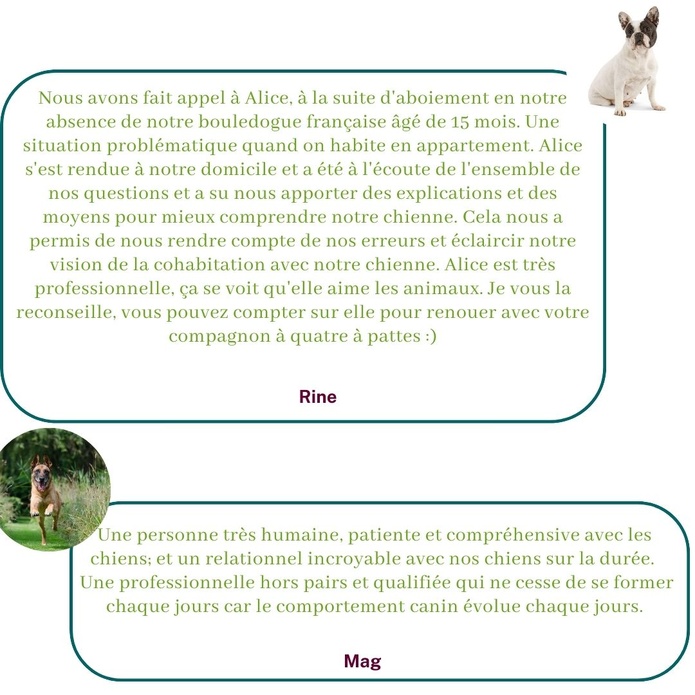 Ils témoignent sur leur expérience avec Alice au Pays Canin
