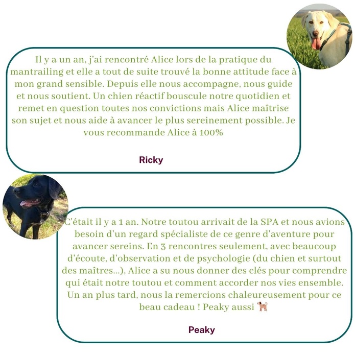 Ils témoignent sur leur expérience avec Alice au Pays Canin