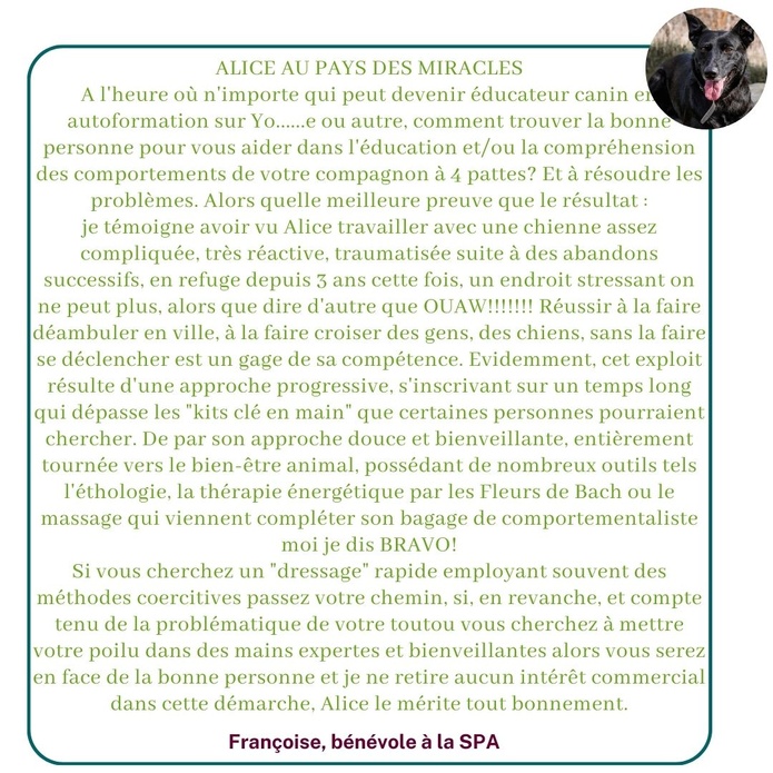 Ils témoignent sur leur expérience avec Alice au Pays Canin