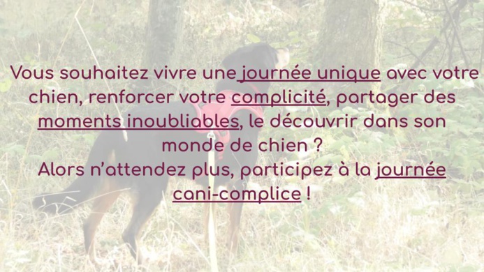 Journées cani-complice !