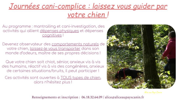 Journées cani-complice !