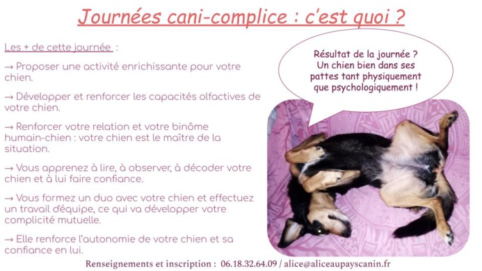 Journées cani-complice !
