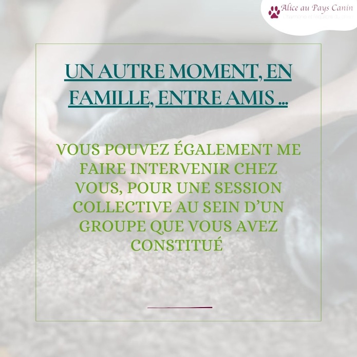 Atelier: apprendre à masser mon chien