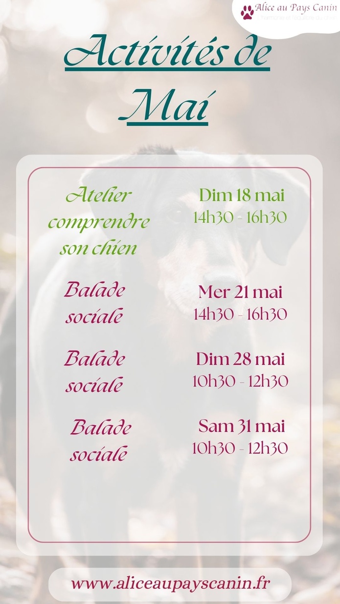 Dates des prochains évènements 