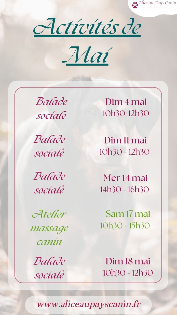 Dates des prochains évènements 