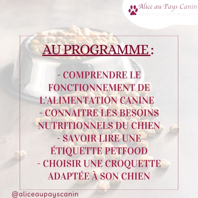 Atelier : nourrir mon chien aux croquettes