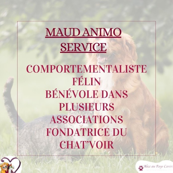 Nouveau : atelier spécial chien-chat !