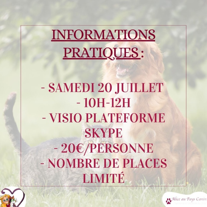 Nouveau : atelier spécial chien-chat !