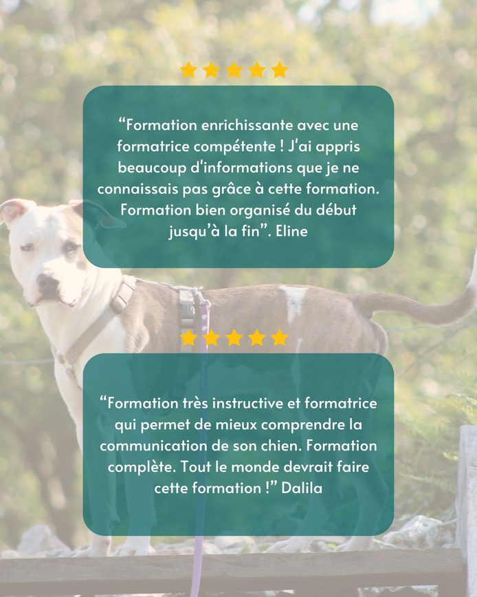 Témoignages de la formation d'attestation d'aptitude pour les chiens de catégories