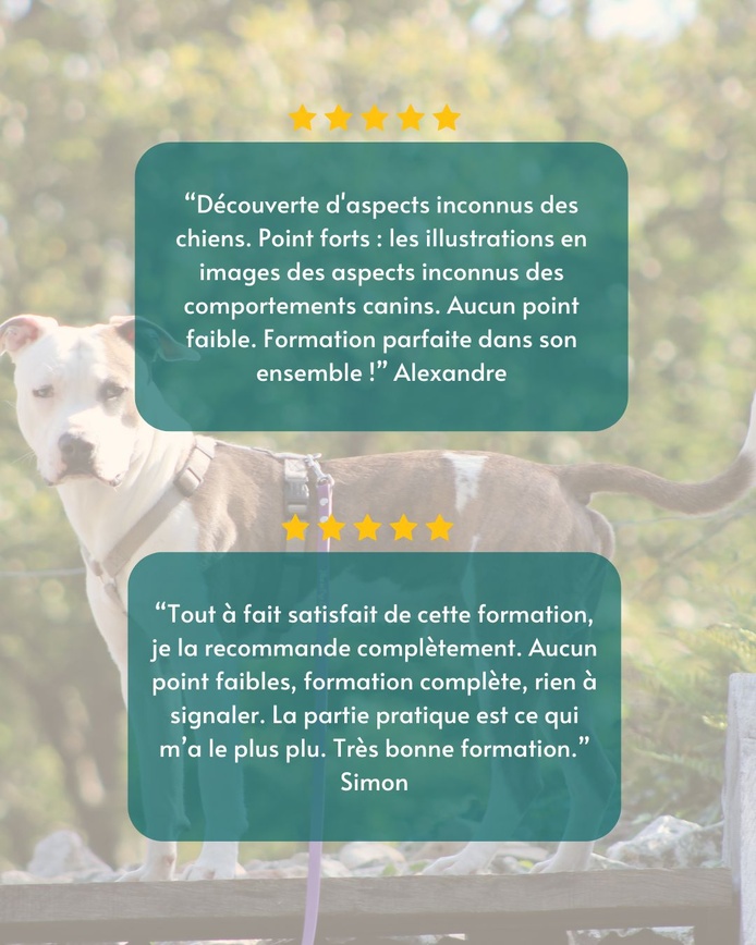 Témoignages de la formation d'attestation d'aptitude pour les chiens de catégories