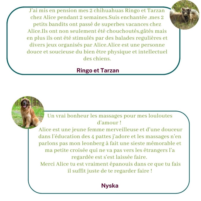 Témoignages des bénéficiaires de pension familiale, de pet-sitting et de massage canin
