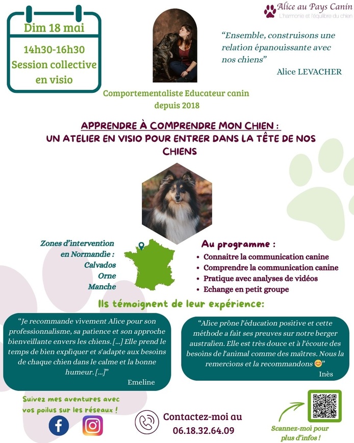Atelier : Comprendre mon chien
