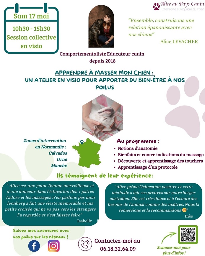 Atelier : Apprendre à masser mon chien
