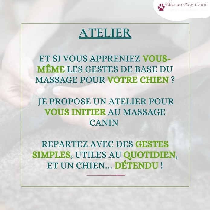 Faire masser ou apprendre à masser mon chien