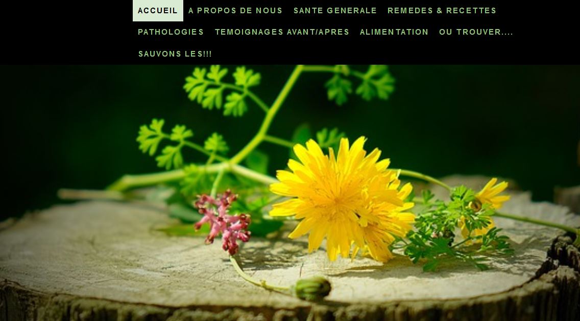 Les lectures indispensables 