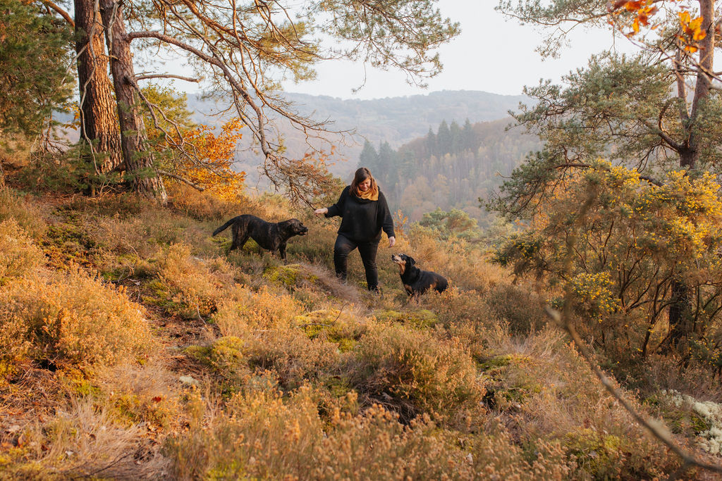 Comprendre ses chiens aux Roches d'Oëtres /Crédit photo : Cécile Schuhmann