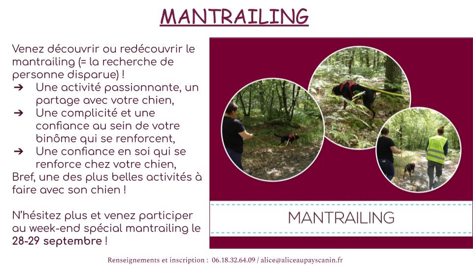 Week end mantrailing