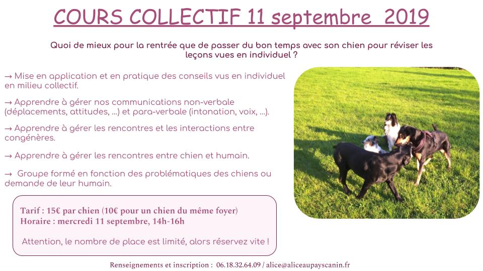 Les activités à venir !