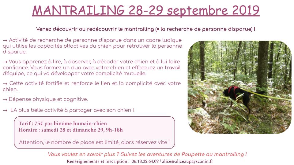 Les activités à venir !