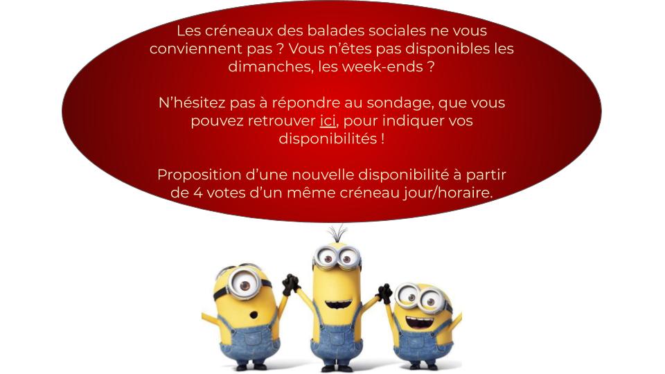 Programme des activités à venir !
