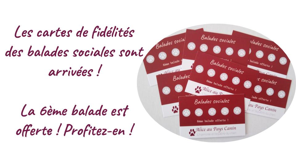 L'actu de la semaine
