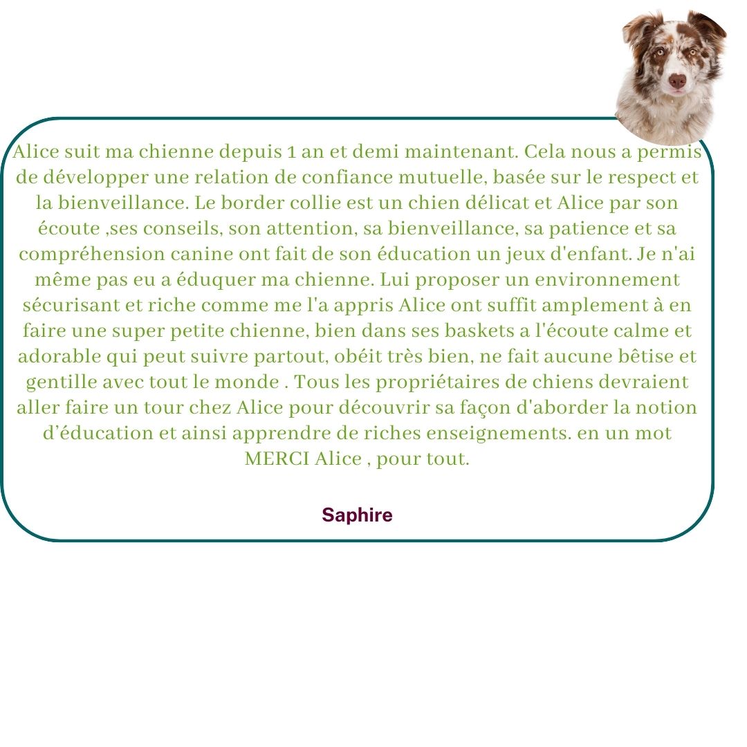 Ils témoignent sur leur expérience avec Alice au Pays Canin