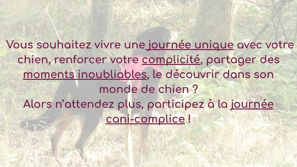 Journées cani-complice !