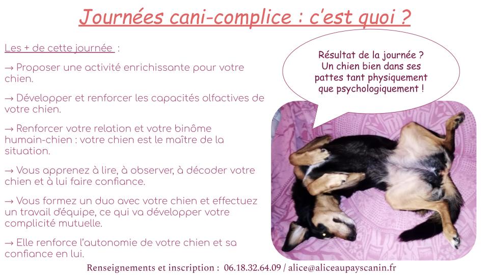 Journées cani-complice !