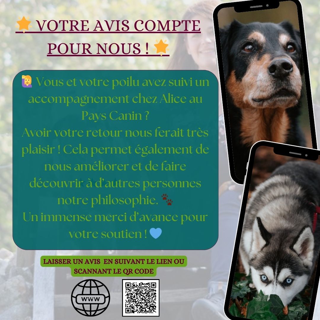 Partagez votre retour !