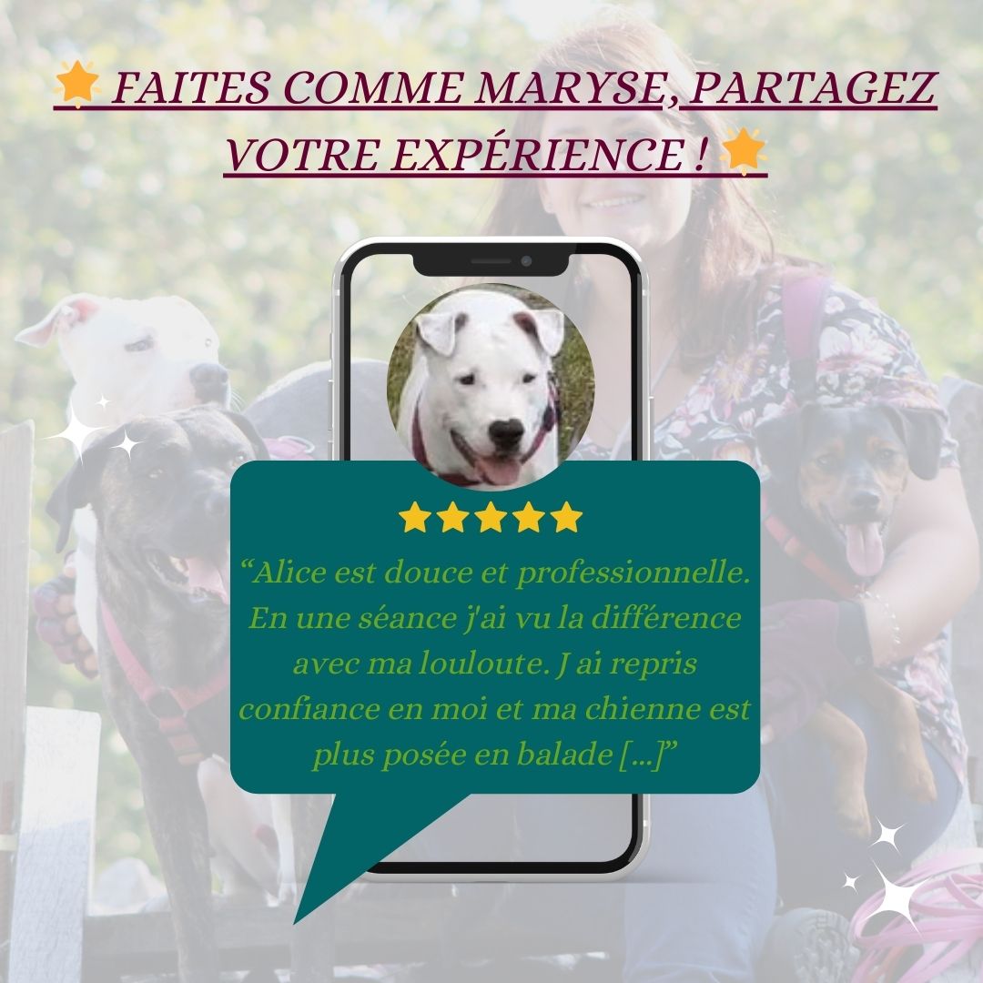 Partagez votre retour !
