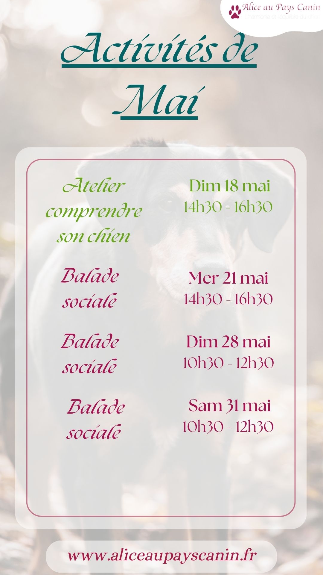 Dates des prochains évènements 
