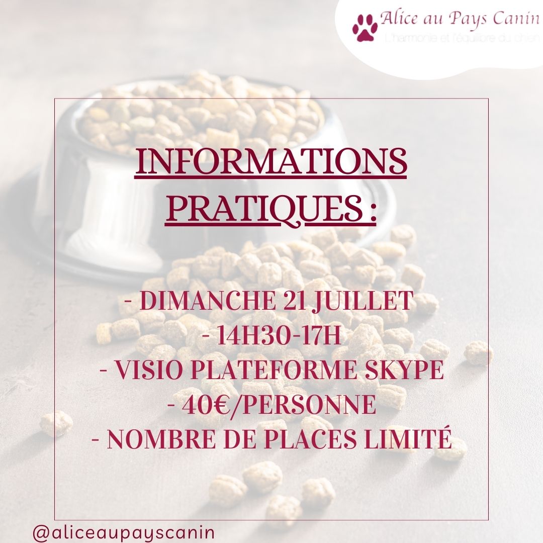 Atelier : nourrir mon chien aux croquettes