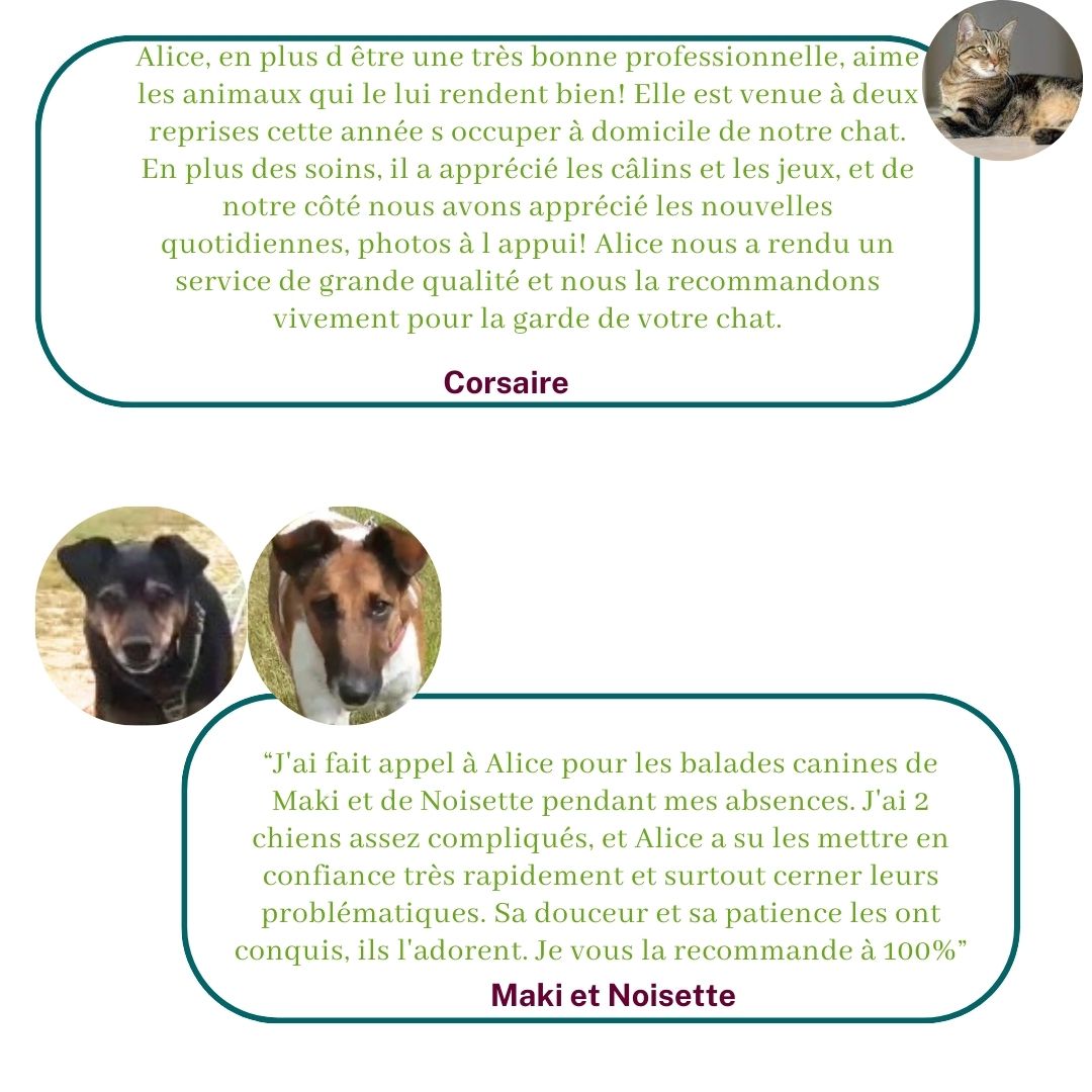 Témoignages des bénéficiaires de pension familiale, de pet-sitting et de massage canin