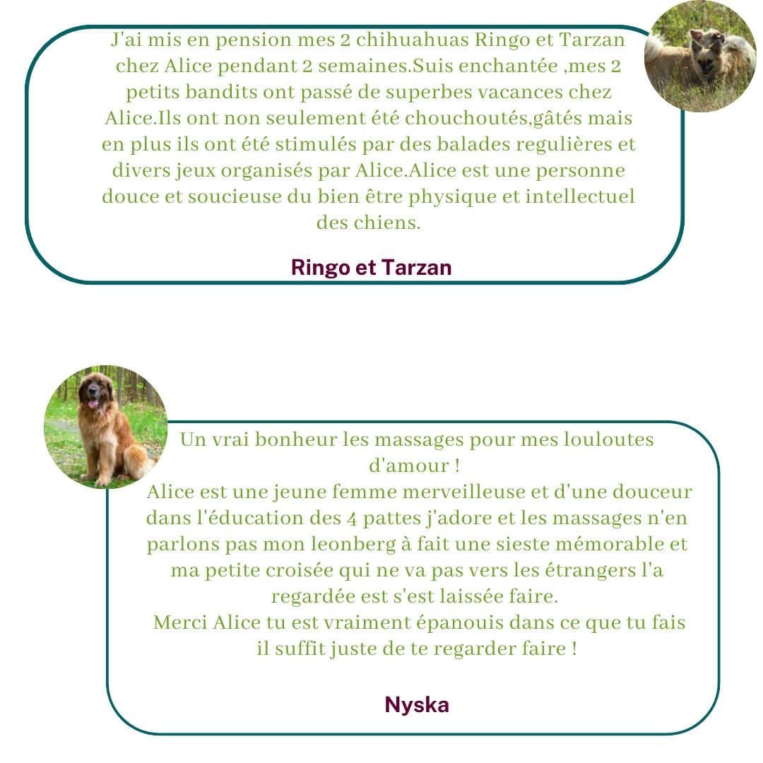 Témoignages des bénéficiaires de pension familiale, de pet-sitting et de massage canin